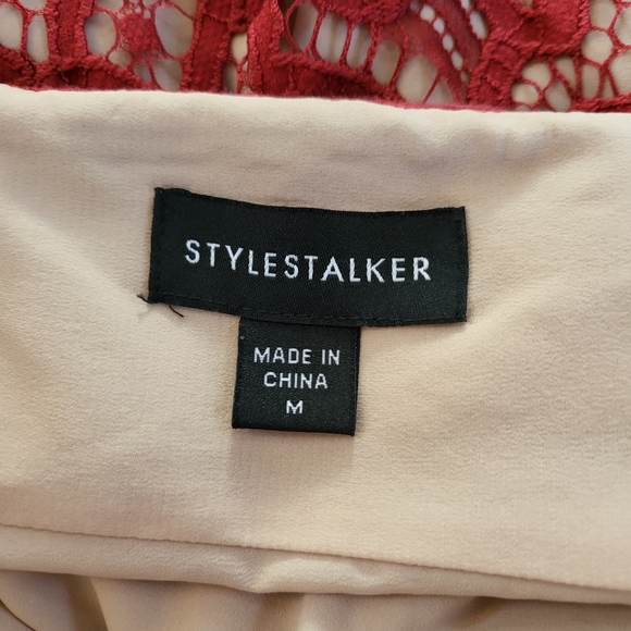 Stylestalker Revolve Lani Mini Dress Earth Red - Picture 7 of 7